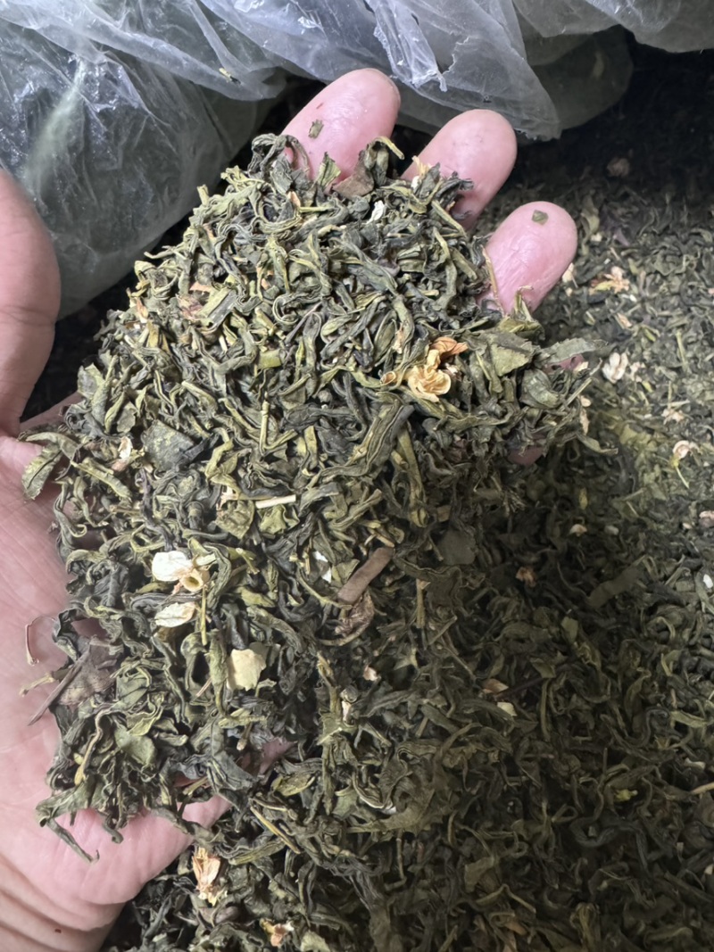 广西横县花茶茉莉绿茶茶叶浓香型散装大量批发2024新茶