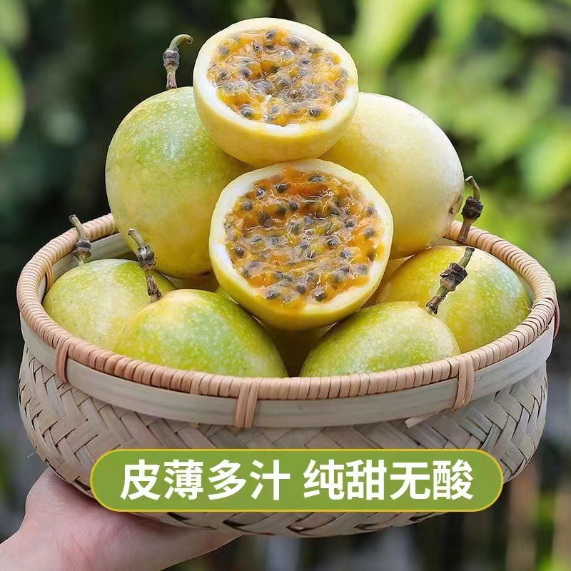 钦密九号大量上市，产地一手货源对接各大商超，电商平台