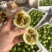 黄金百香果大量上市，对接市场、电商，产地代办