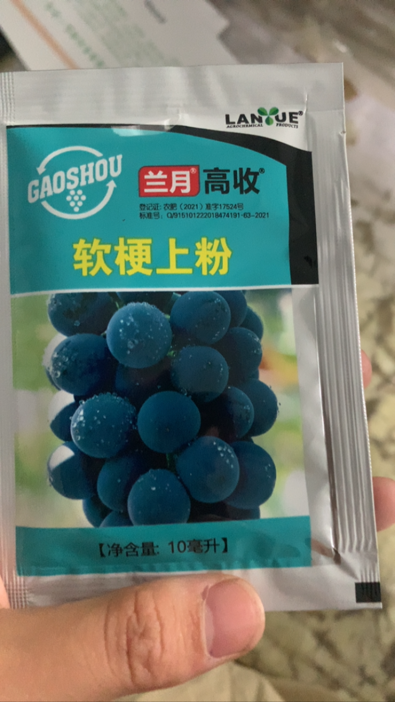 兰月高收葡萄软梗上粉夏黑巨峰阳光玫瑰醉金香用抑制果梗硬