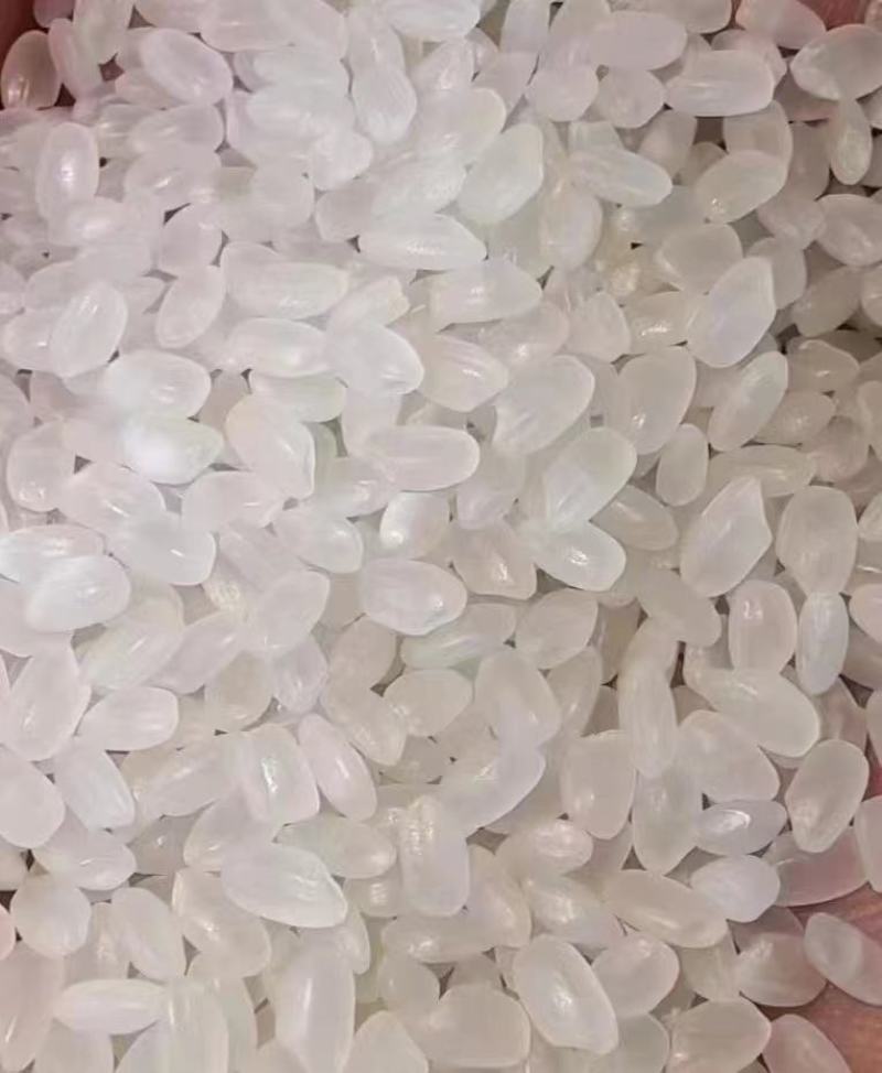 珍珠米新米整颗粒色泽好米饭香