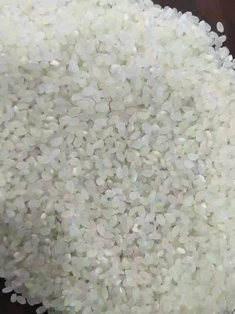 珍珠米新米整颗粒色泽好米饭香