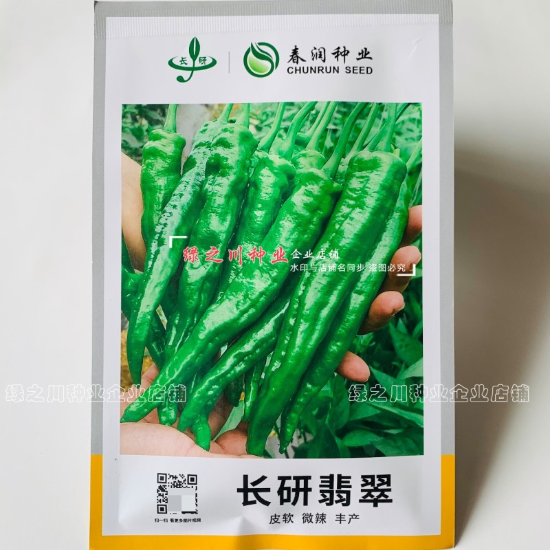 湖南长研翡翠辣椒种子春润公司牛角形辣椒种籽微辣软皮牛角椒