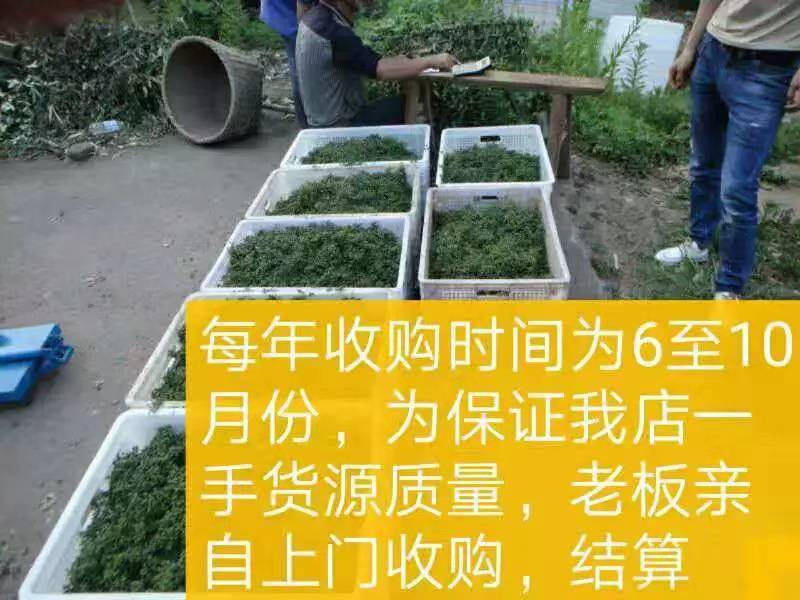 花椒粉，量大可谈，包邮支持多陶抖单共赢