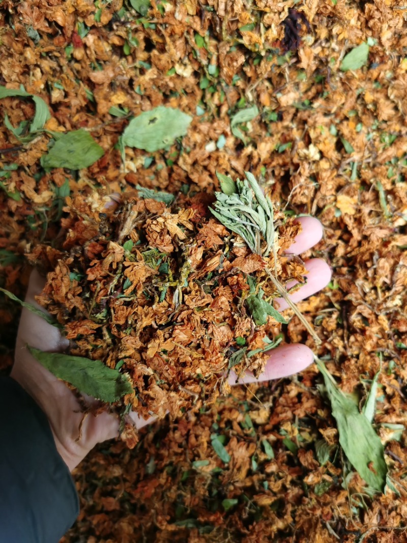 百花草益寿茶江湖地摊展销会产品