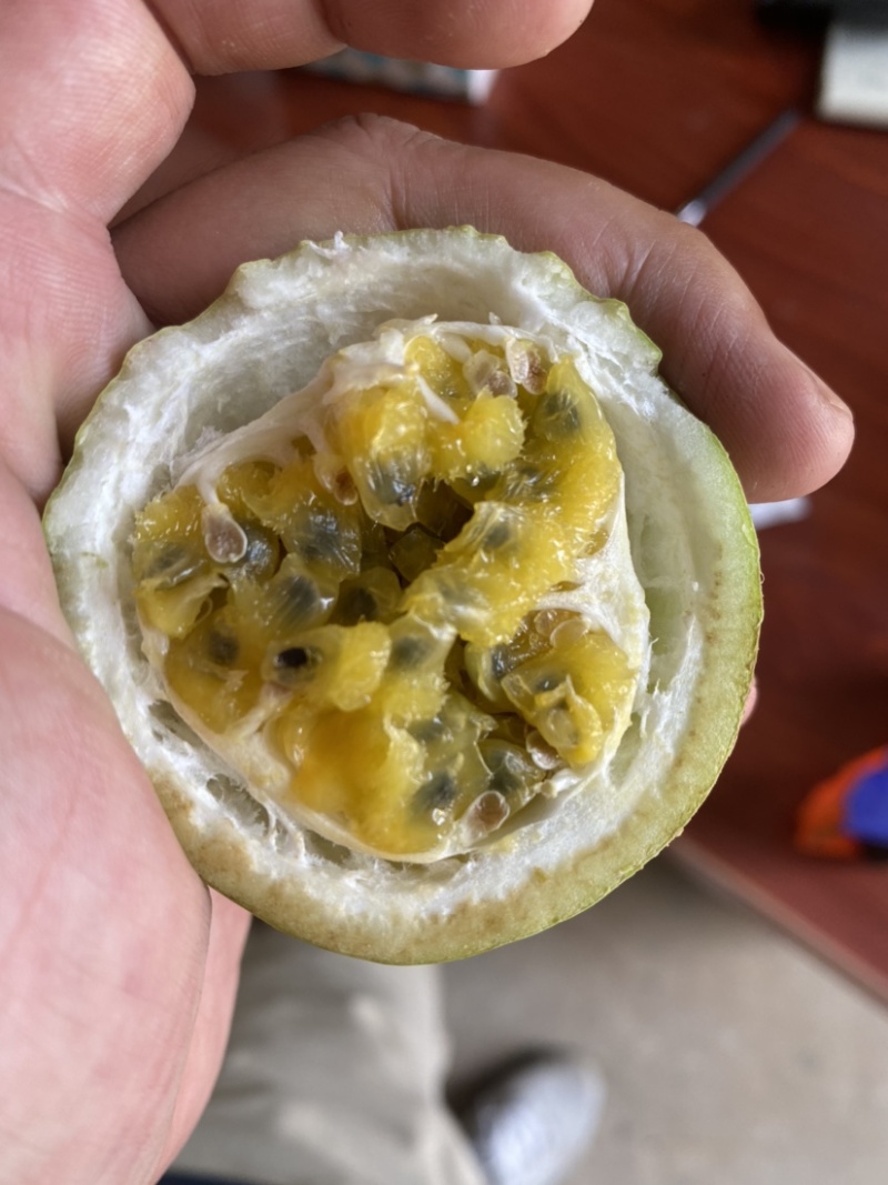 纯甜黄金百香果钦蜜九号