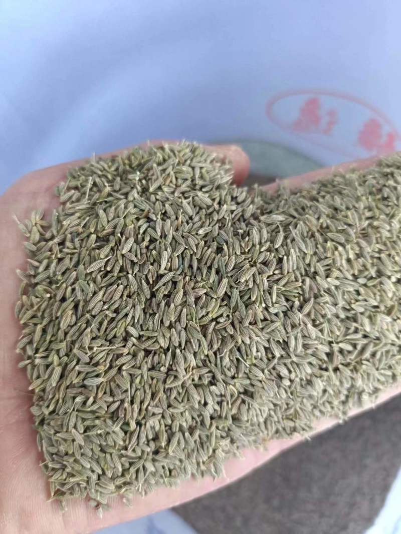正宗新疆孜然，精品加工源头直供，优质饱满颗粒，欢迎洽谈。