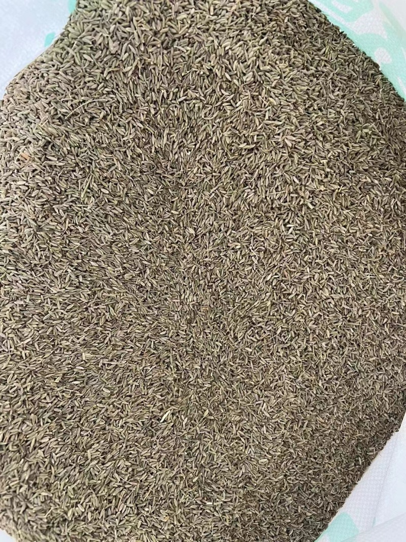 正宗新疆孜然，精品加工源头直供，优质饱满颗粒，欢迎洽谈。