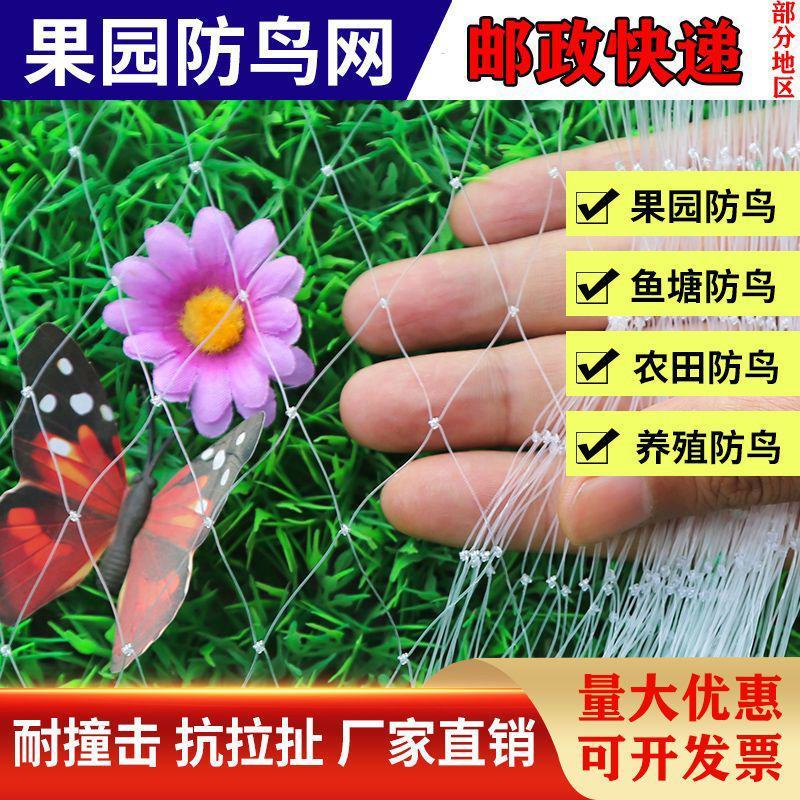 农用防鸟网天网果树果园用的网樱桃稻谷葡萄蓝莓鱼塘养殖鸟儿