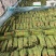 山东产地直发精品长豆角价格优惠代收代发全国