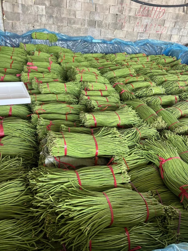 山东产地直发精品长豆角价格优惠代收代发全国