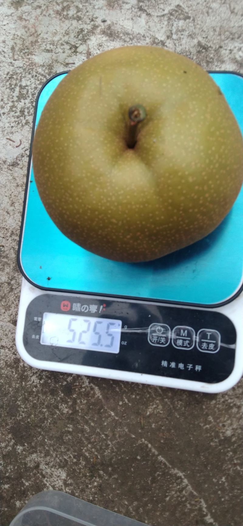 黄花梨，果肉细，纯甜无酸