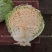 入锅烂豫艺大白菜种子农大柔红白菜种籽矮桩叠抱早熟大包头