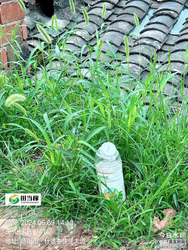 树荣10%精草铵膦铵盐杂草除草剂草铵膦除草剂非耕地除草剂