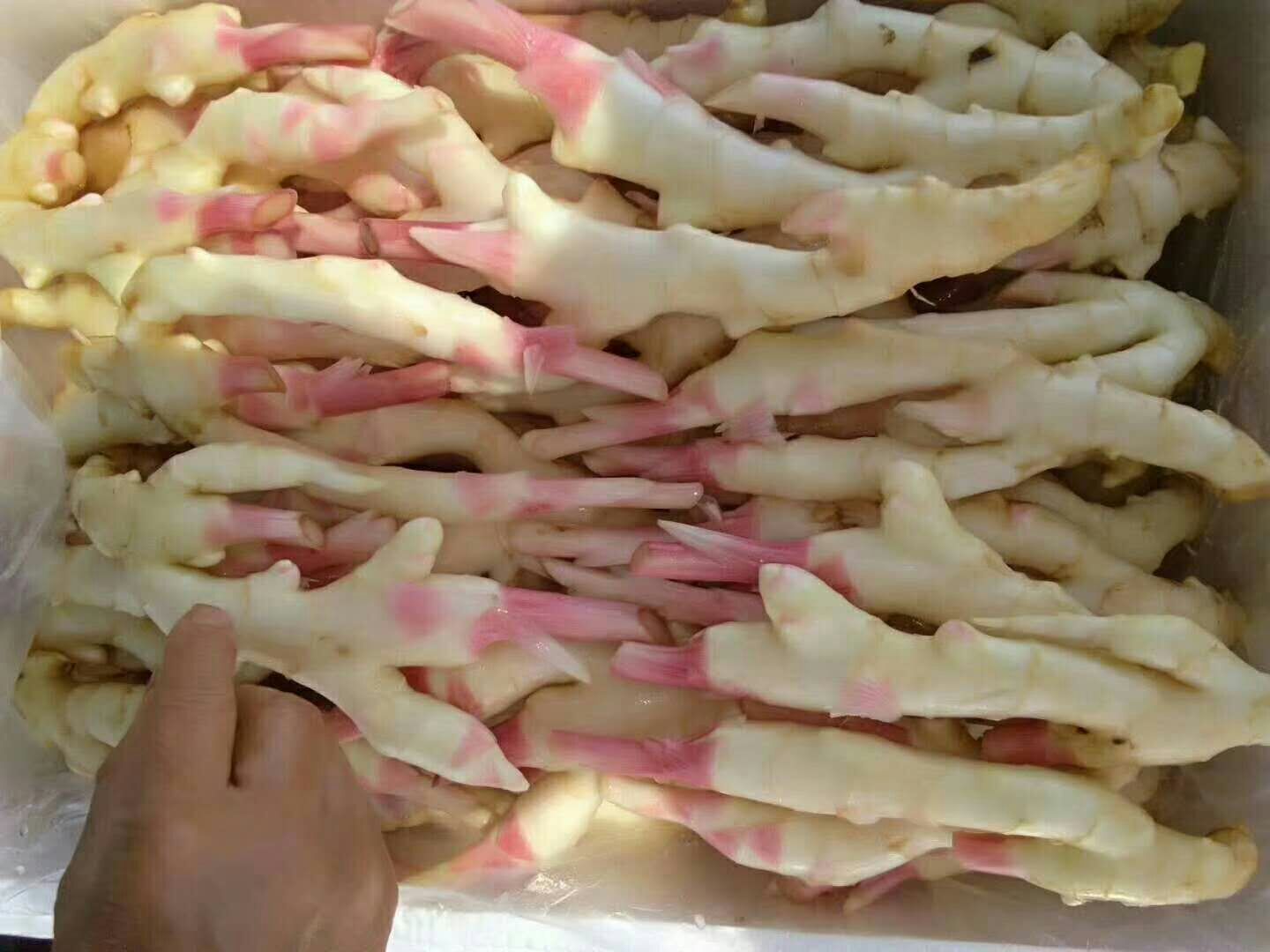 营养成分对比图