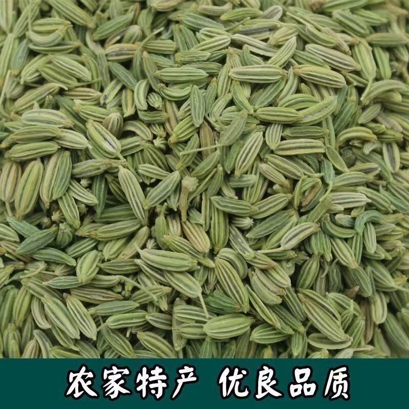 小茴香，甘肃基地种植，全国代发，量大从优，欢迎联系我吧。