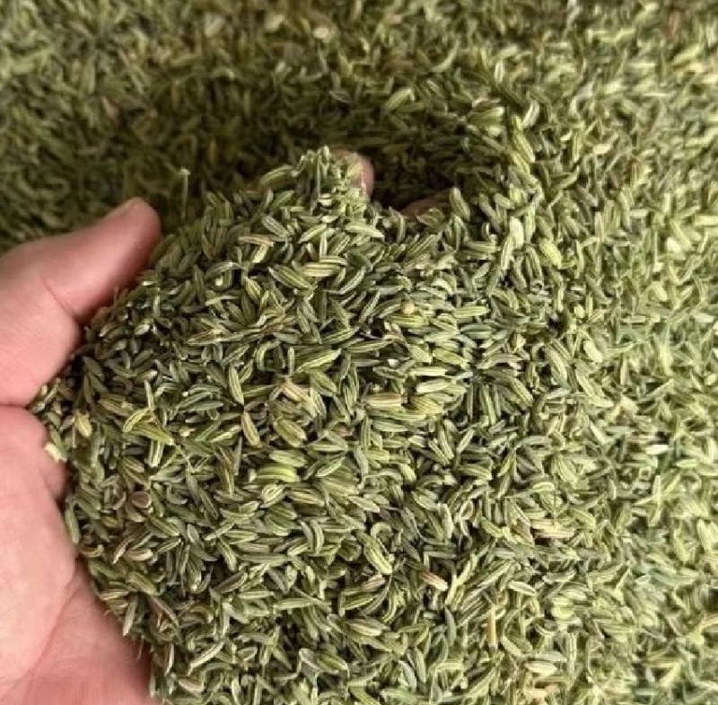 小茴香，甘肃基地种植，全国代发，量大从优，欢迎联系我吧。