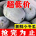 黑皮冬瓜地冬瓜产地看货论价保质保量欢迎订购