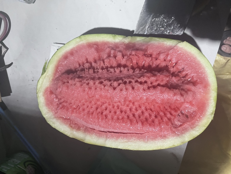 西瓜与火龙果糖分对比图