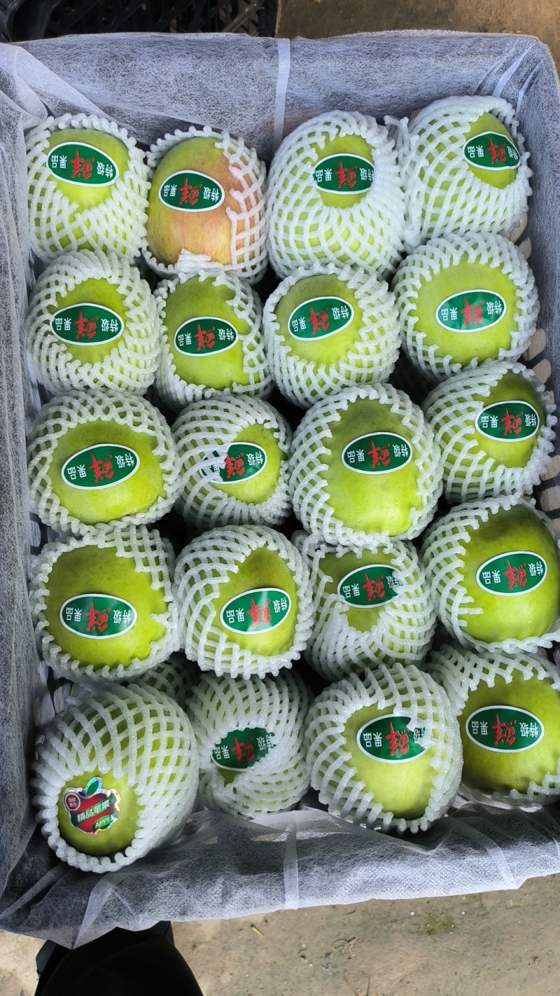 青红华硕