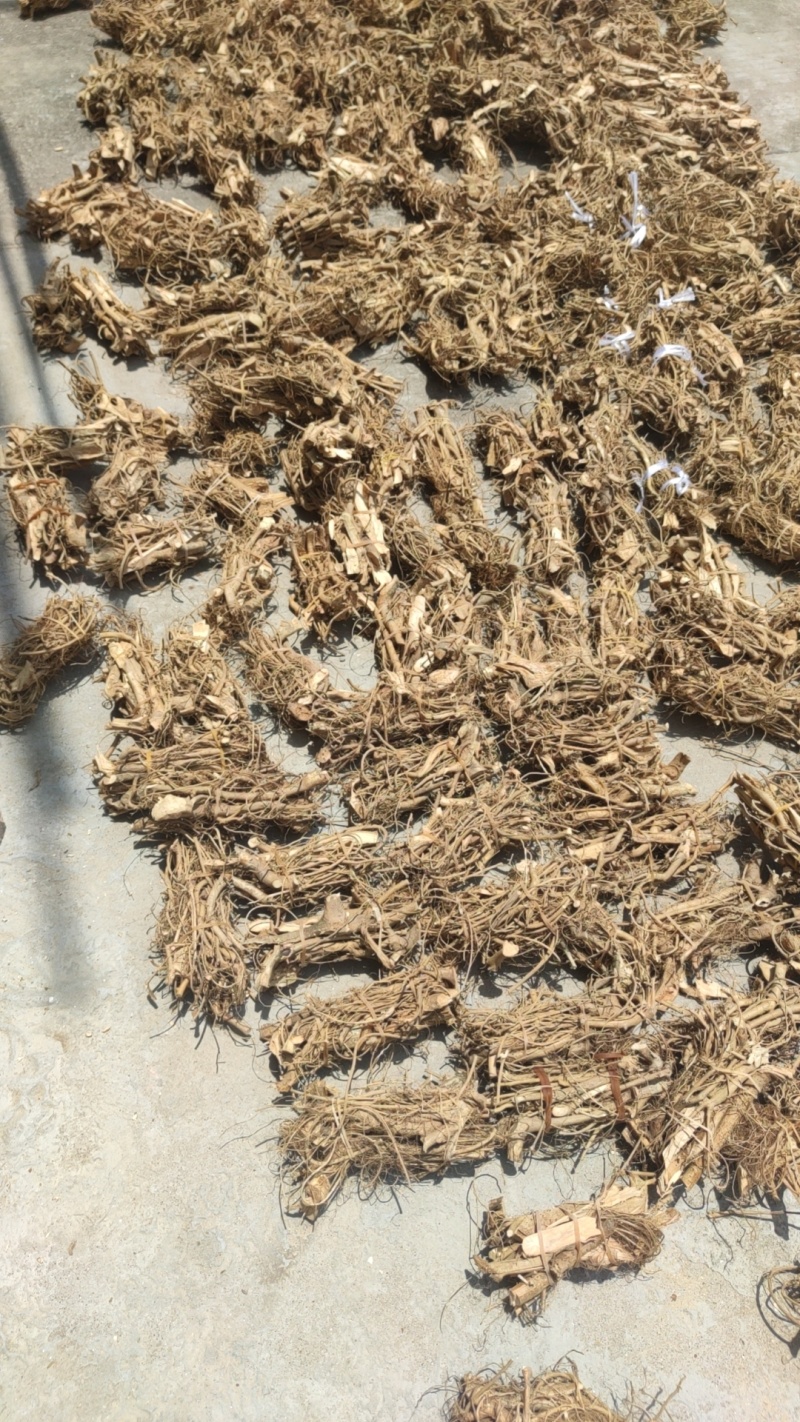 白花牛奶根
