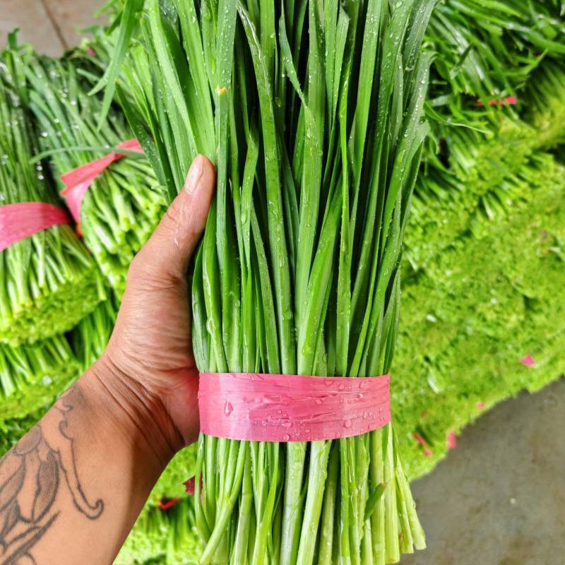 河北临漳，大量提供加工厂货