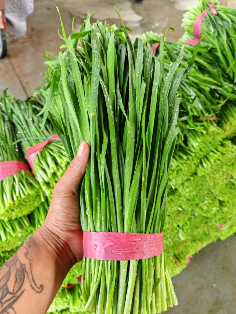 河北临漳，大量提供加工厂货