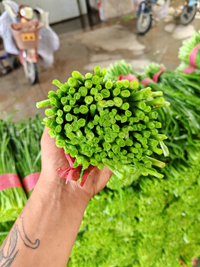 河北临漳，大量提供加工厂货
