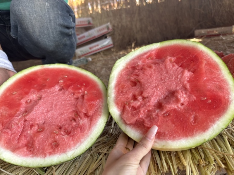 （店长力推）麒麟西瓜河南夏邑头茬无籽美都万亩基地皮薄多汁