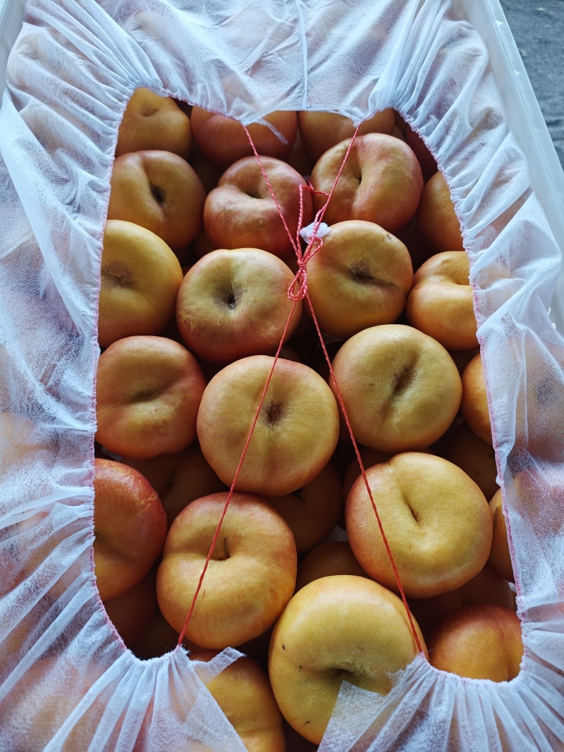 安丘油蟠桃大量供应中，口感超甜。