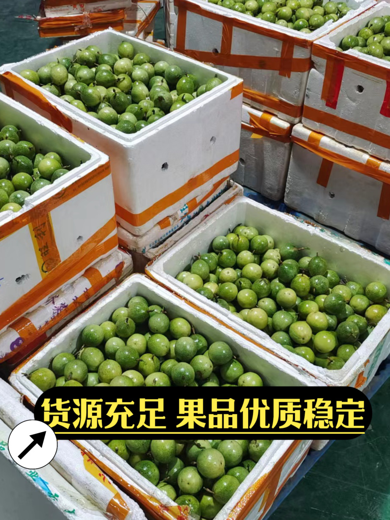 黄金百香果—钦蜜9号