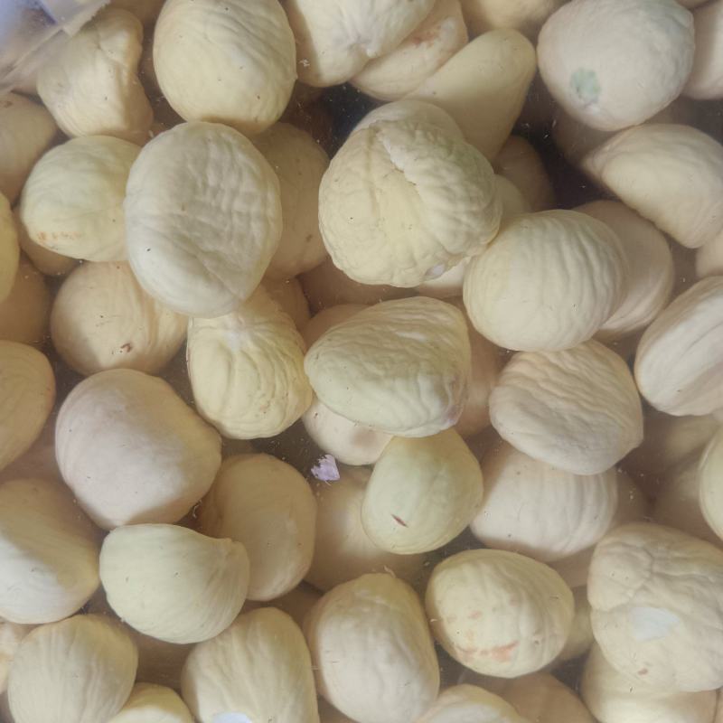 板栗仁包粽子糖水煲汤靓货刀伤栗子肉