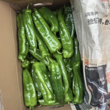 泉州辣椒自家一手货源承接加工电商社区团购商超餐饮全国接单