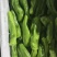 泉州辣椒自家一手货源承接加工电商社区团购商超餐饮全国接单