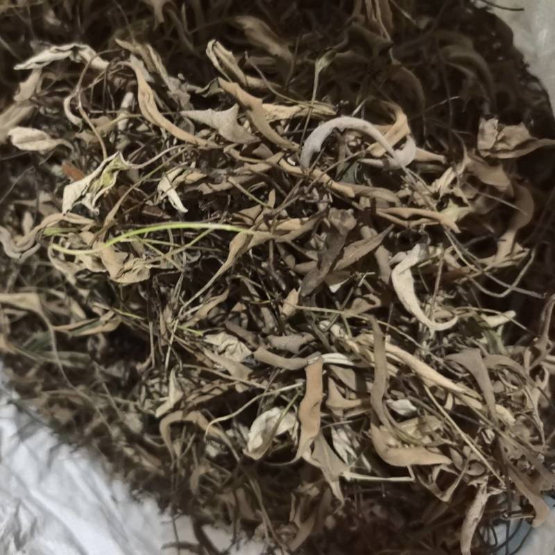 石韦，产地直供大货，品质如金，诚信为本。