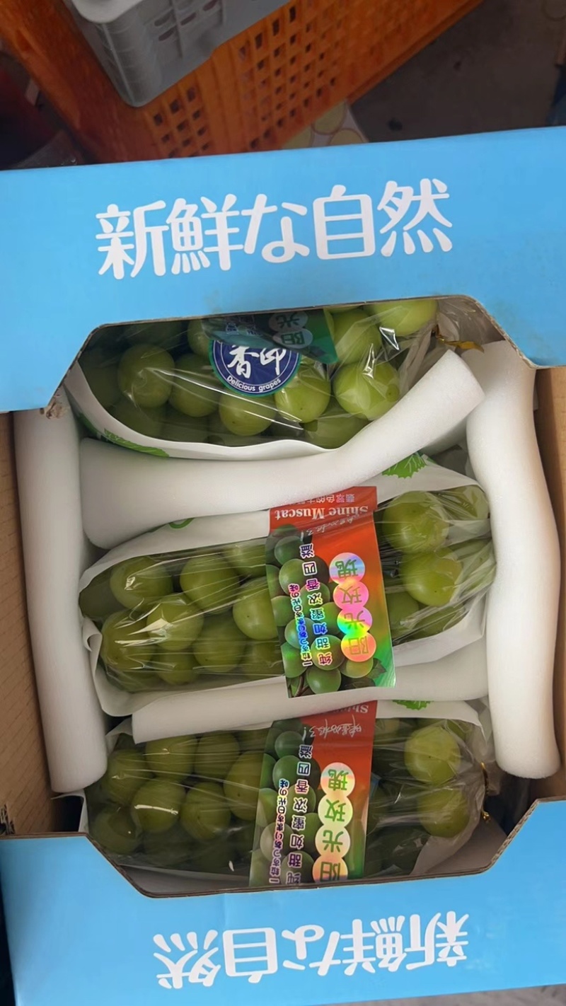 【热销】陕西大荔阳光玫瑰基地产地价格实惠货源充足量大从优！