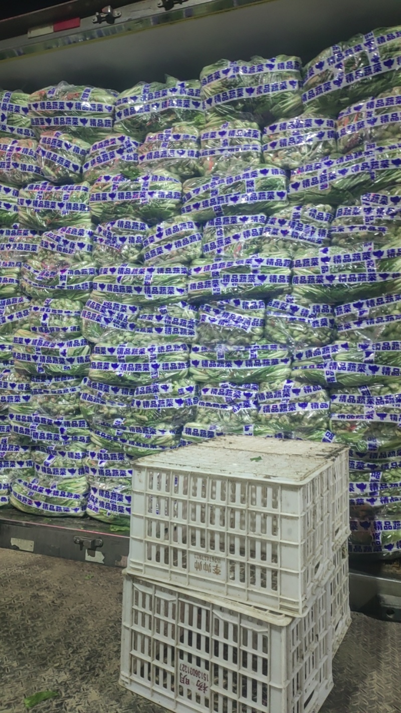 【优选】精品安徽上海青小油菜【常年供货，产地直发，
