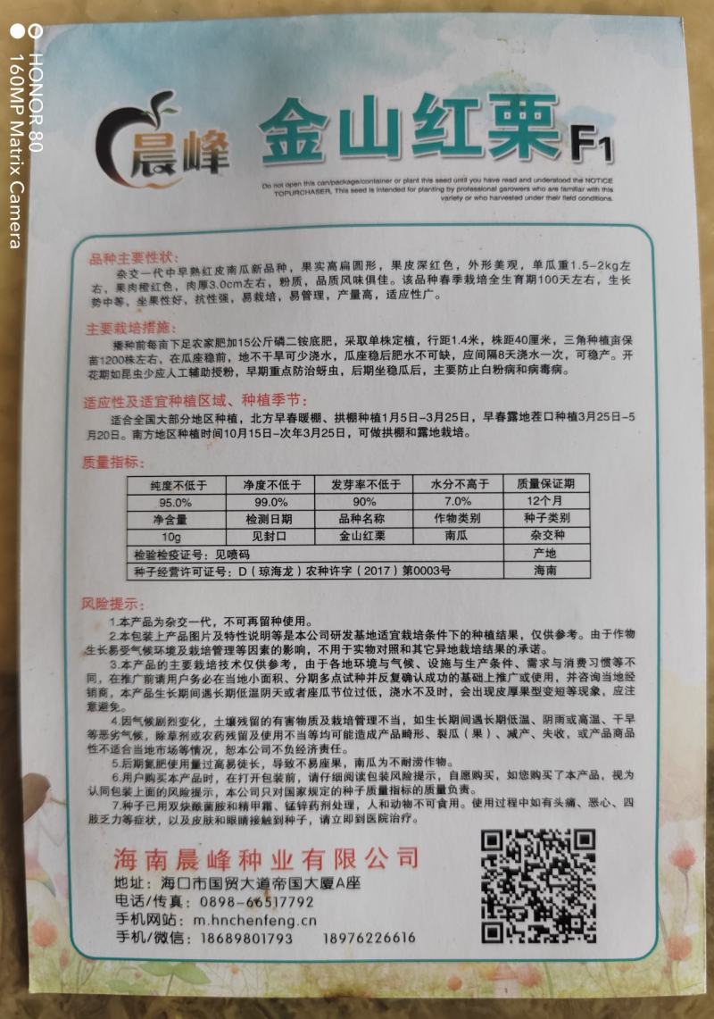 南瓜种子-金红板栗南瓜