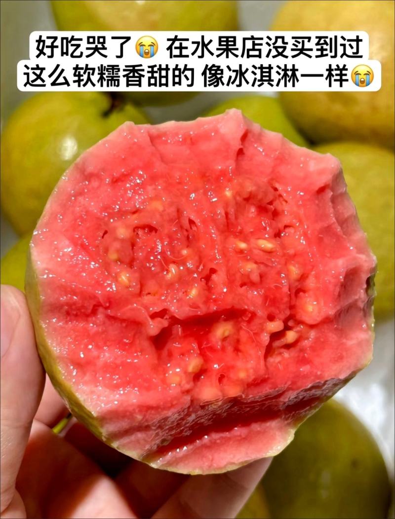 广西芭乐西瓜红番石榴红心清甜脆口软糯多汁低糖水果一件发