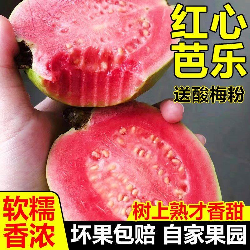 广西芭乐西瓜红番石榴红心清甜脆口软糯多汁低糖水果一件发
