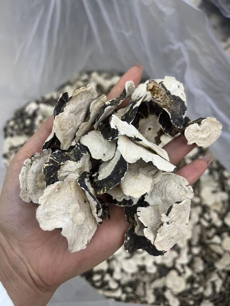 黑玛卡片空心片一手货源价格便宜