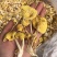 鸡油菌一手货源价格便宜