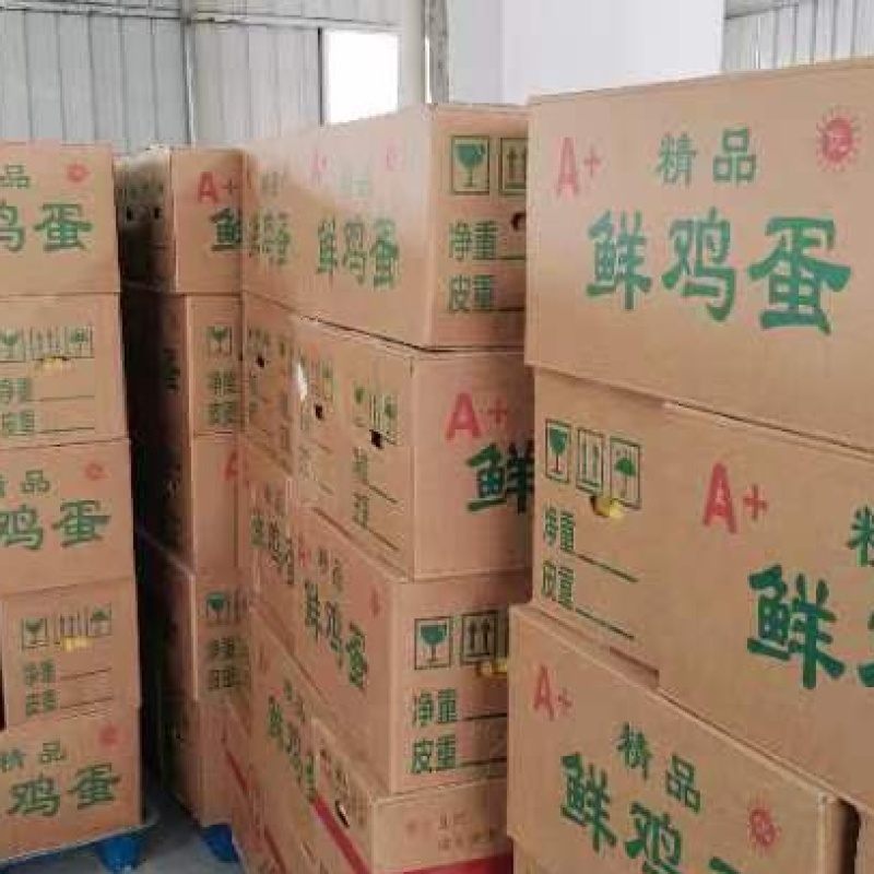 纸箱二手纸箱鸡蛋箱打包箱物流包装盒360枚鸡蛋箱