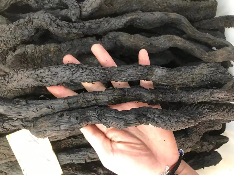肉苁蓉硬肉苁蓉软肉苁蓉
