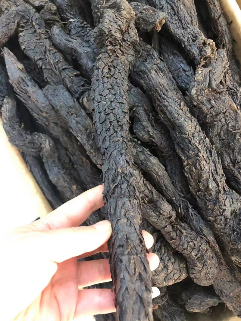 肉苁蓉硬肉苁蓉软肉苁蓉
