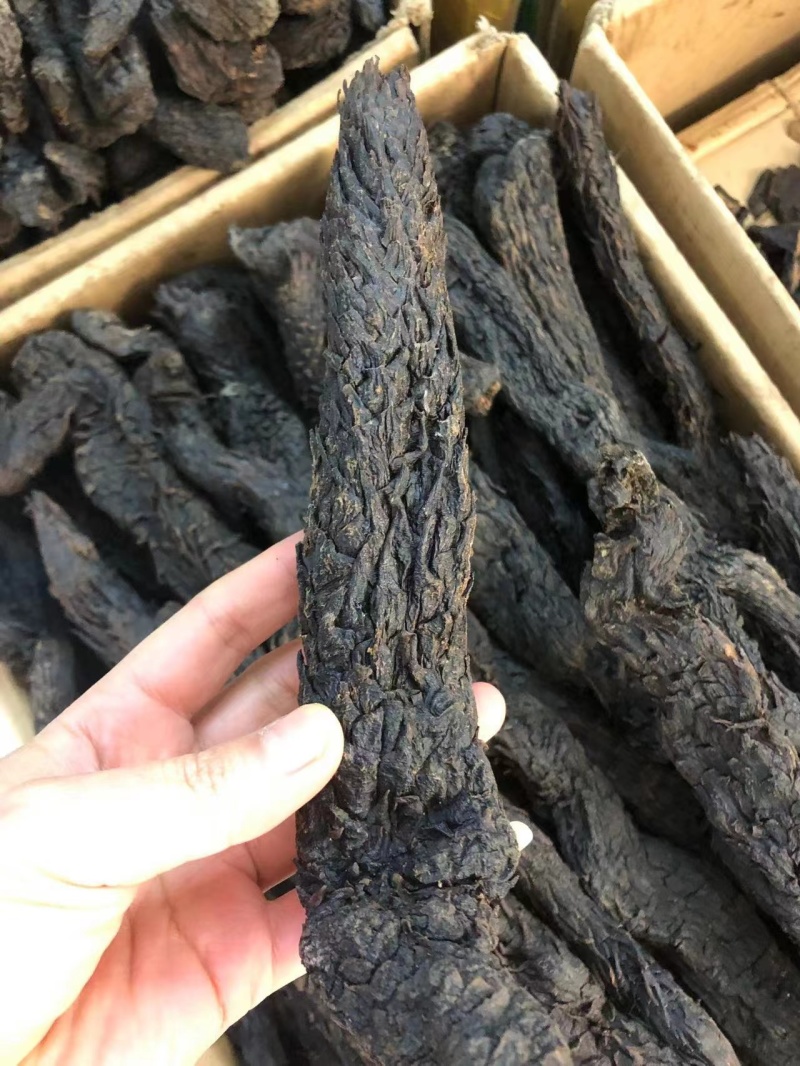 肉苁蓉硬肉苁蓉软肉苁蓉