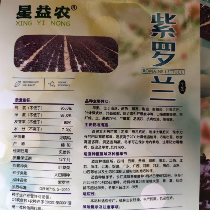 天禧紫罗兰保健菜种子营养蔬菜种子紫红色菜籽种四季生菜种子