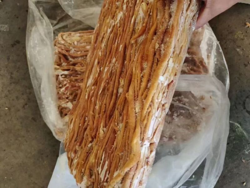去全油鸭肠