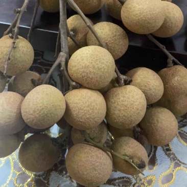 广东龙眼石夹