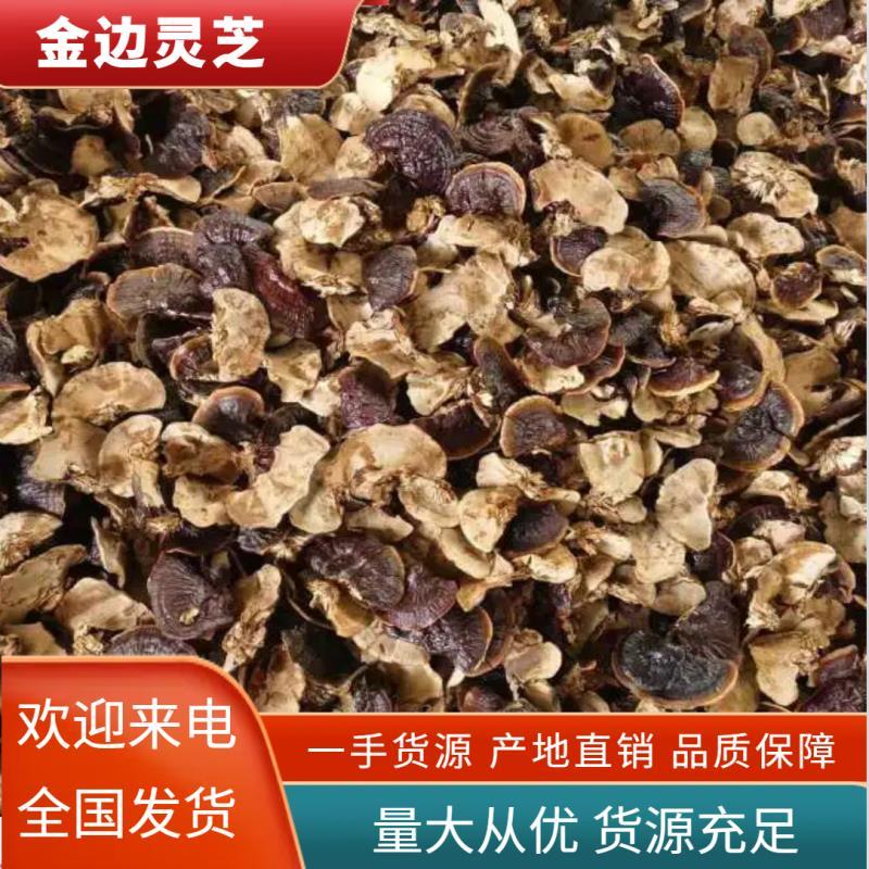 大金边灵芝，今年的新货，己下来，货源充足货真价实